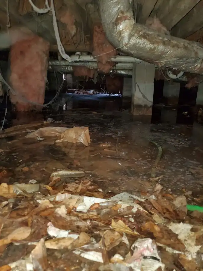 Crawl space flood assessment for Leak Detection & Repair in Ammon